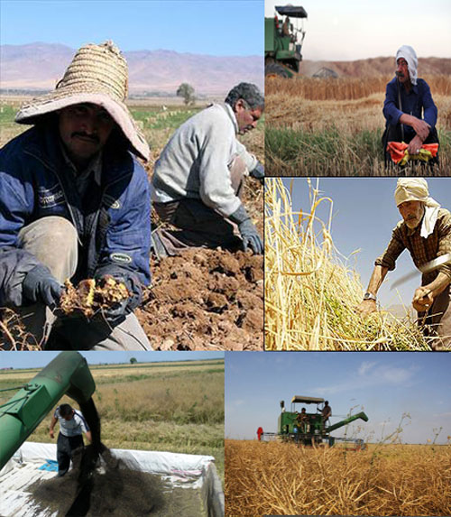 keshavarzi0001