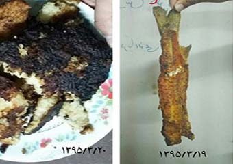 در پی مسمومیت های متوالی در دانشگاه گنبد کاووس انجام شد؛ 