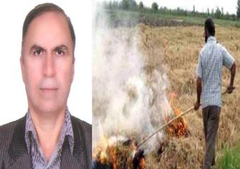  دکتر اسدی عنوان کرد : تشریح آسیب های سوزاندن بقایای گیاهی پس از کشت محصولات