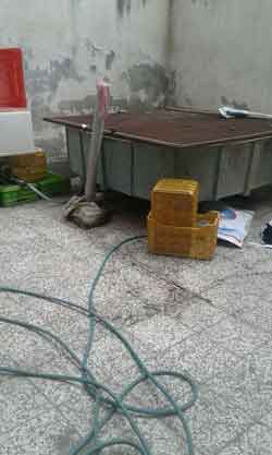 photo 2017 03 07 13 59 30